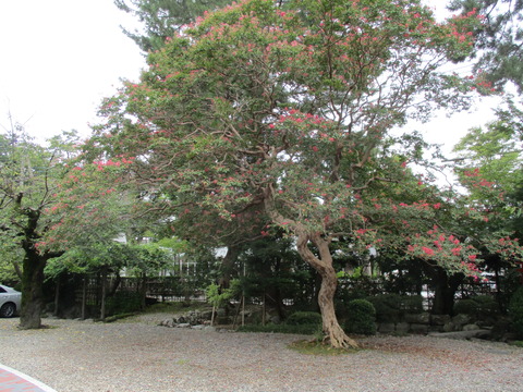 76安養寺34