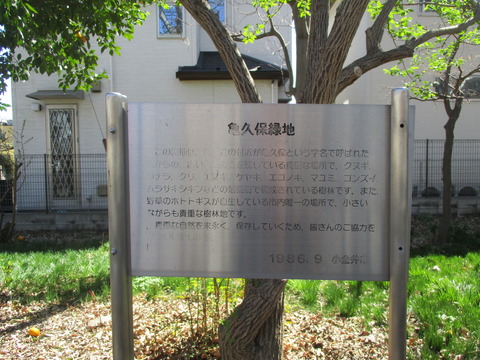 206亀久保緑地2