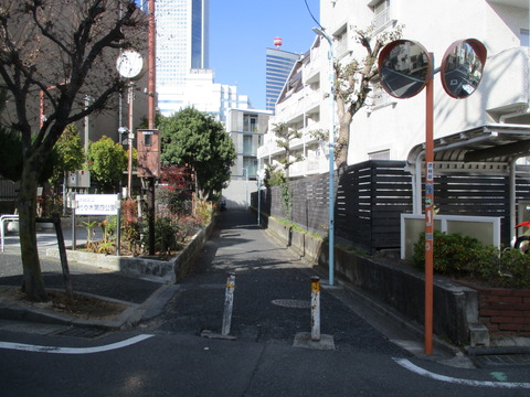 44春の小川道8