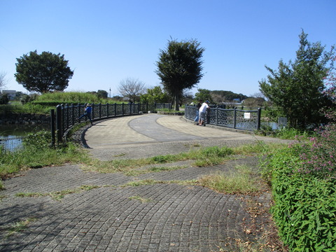 101柴山沼11