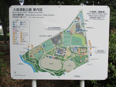 30バラ園3