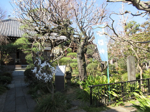 62蟠龍寺１１