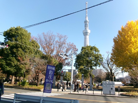 177隅田公園５