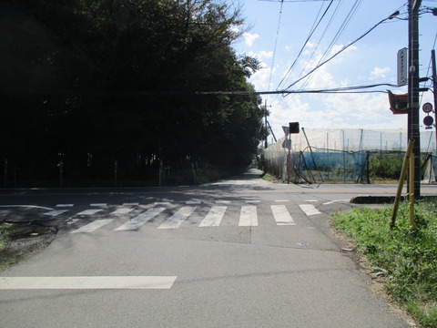 206県道77号1