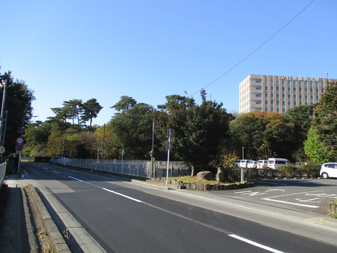 05日本薬科大学