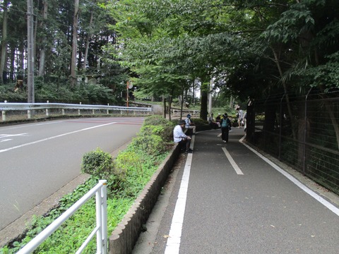 91多摩湖自転車歩行者道11