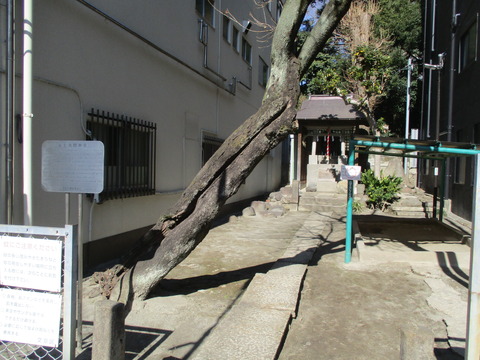 158富士浅間神社1