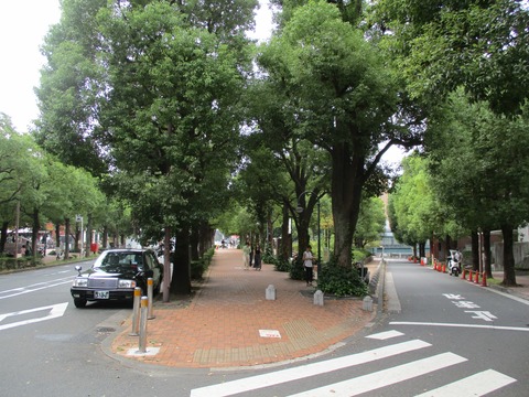 63アメリカ橋公園1