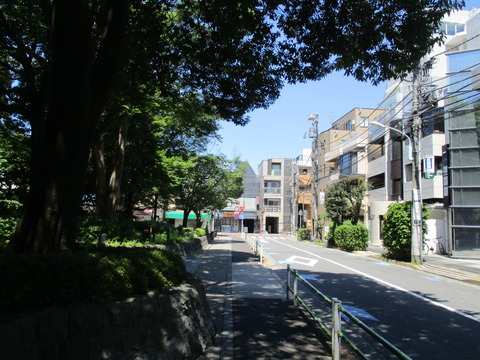 27木陰
