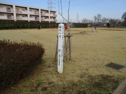 66柏のへその標柱