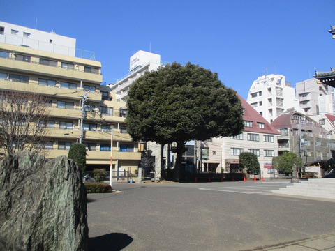 70霊雲寺3