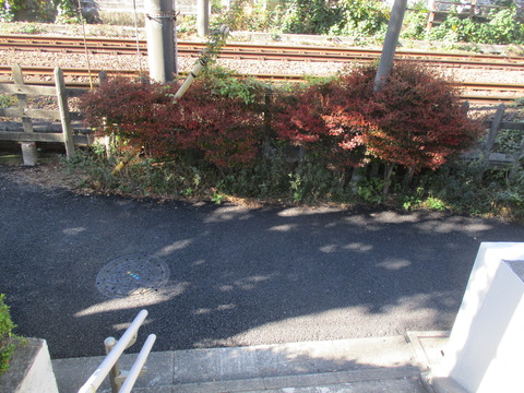 61春の小川歌碑5