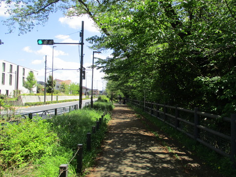 114再び緑道2