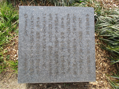 92手賀沼の主