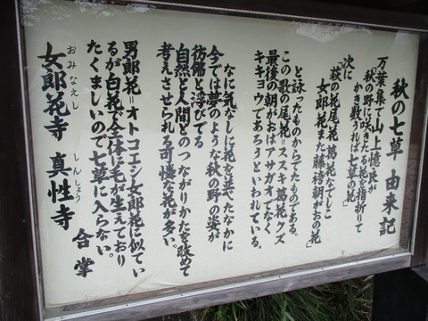 67真性寺18