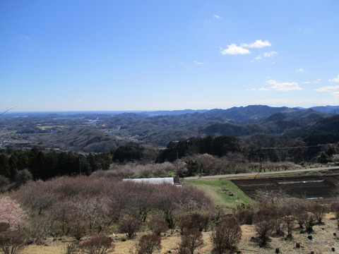 135展望台3
