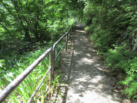 81線路沿い1