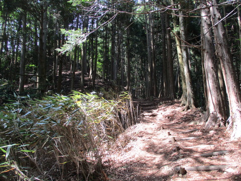 258山登り1