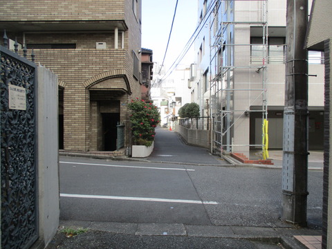 08旧代々木川5