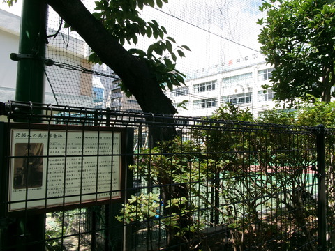 71共立学舎跡２