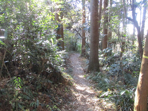 152果樹園へ4