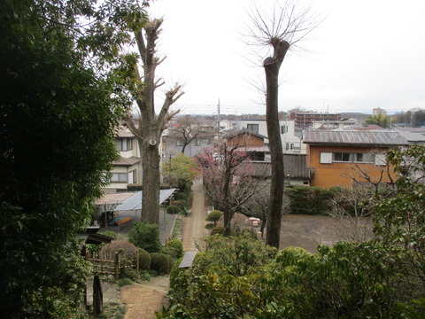 26秋葉神社・金比羅神社13