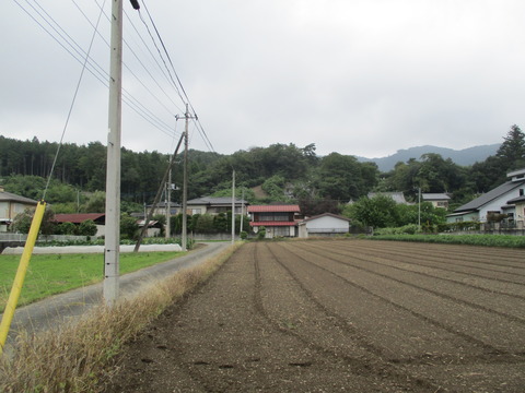 154青石塔婆2