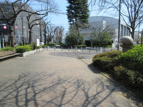 183桜川緑道3