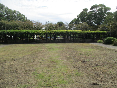 104公園内2