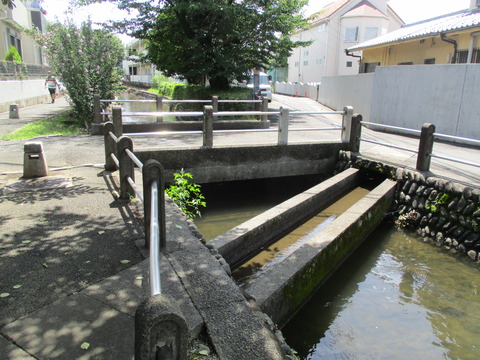 31大丸親水公園8