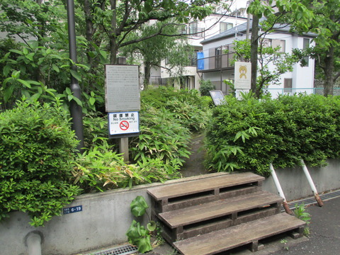 65ビオトープ2