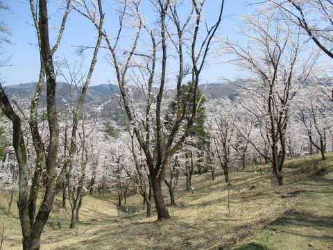 154野土山5