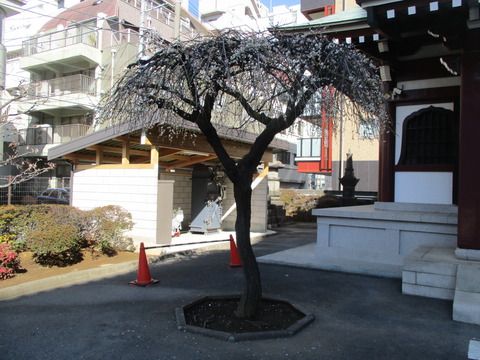 77霊雲寺10