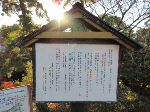 227戸山公園11