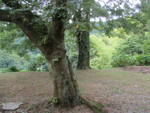 155戸倉しろやまテラス11