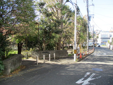 57菊名池公園1