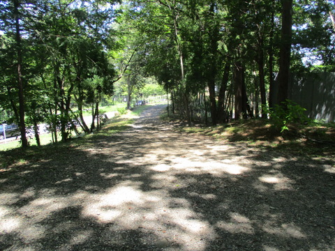 153再び廃線跡1