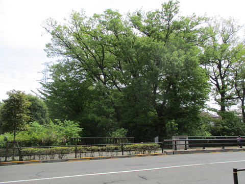 96百石橋5