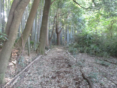 38散策路2