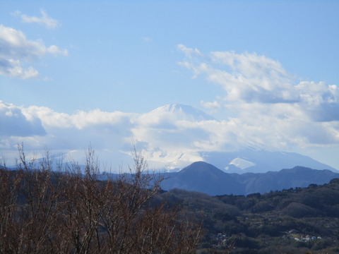 216吾妻山公園10