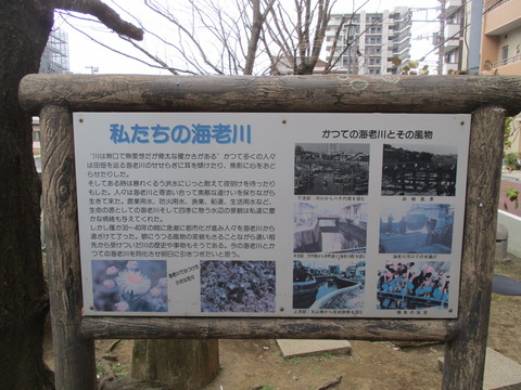 45海老川橋9