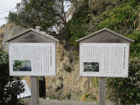 100浪子不動8