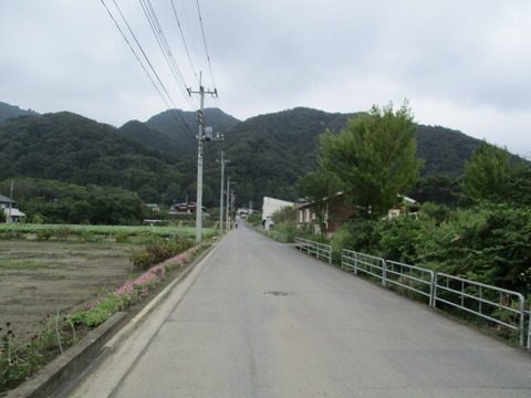 81まっすぐな道