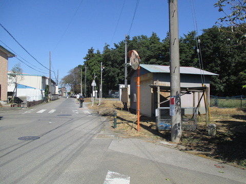 61石柱1