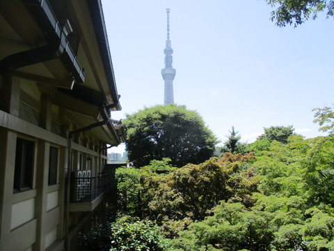 59庭園８
