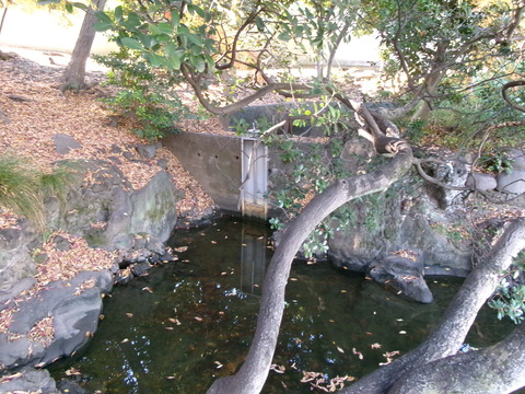 233旧安田庭園６