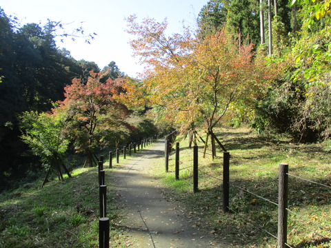 123渡った先1