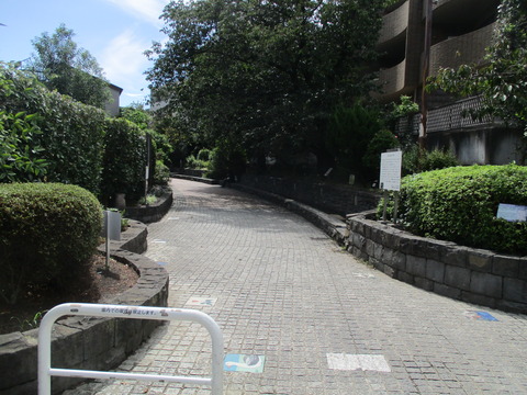 168烏山川緑道3