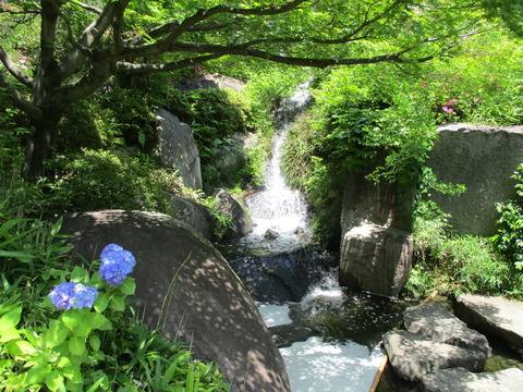 47目白庭園8