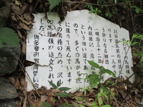 206がんどうの馬頭様3